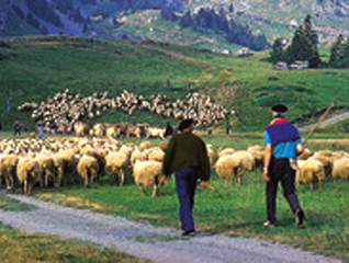 haute-pyrenees haute-pyrenees